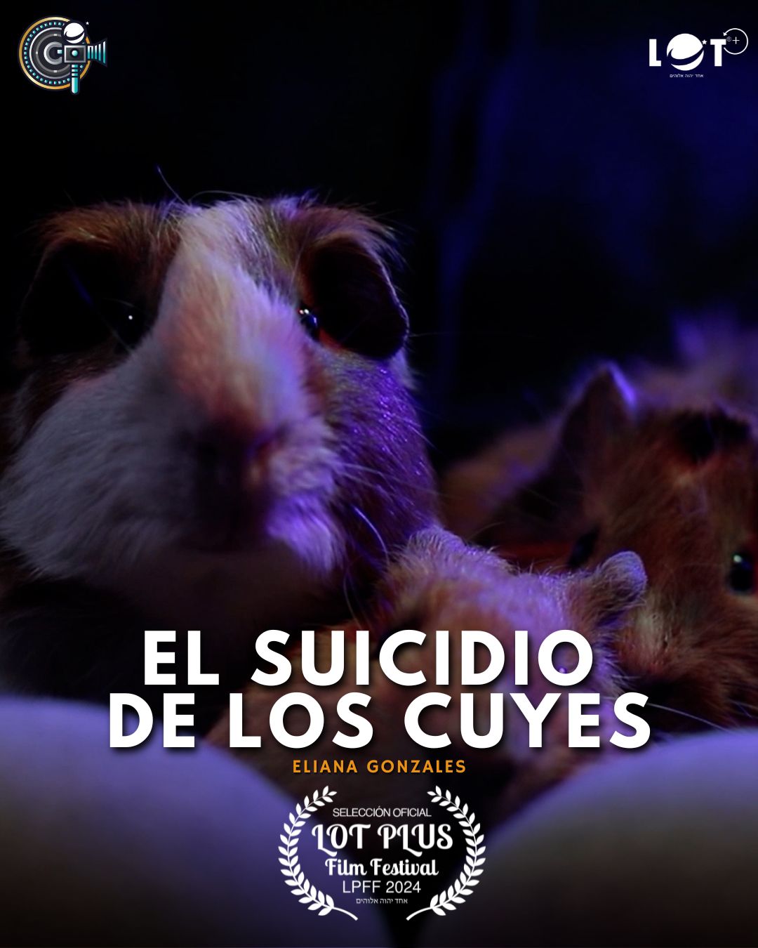 Segundo Mejor Cortometraje