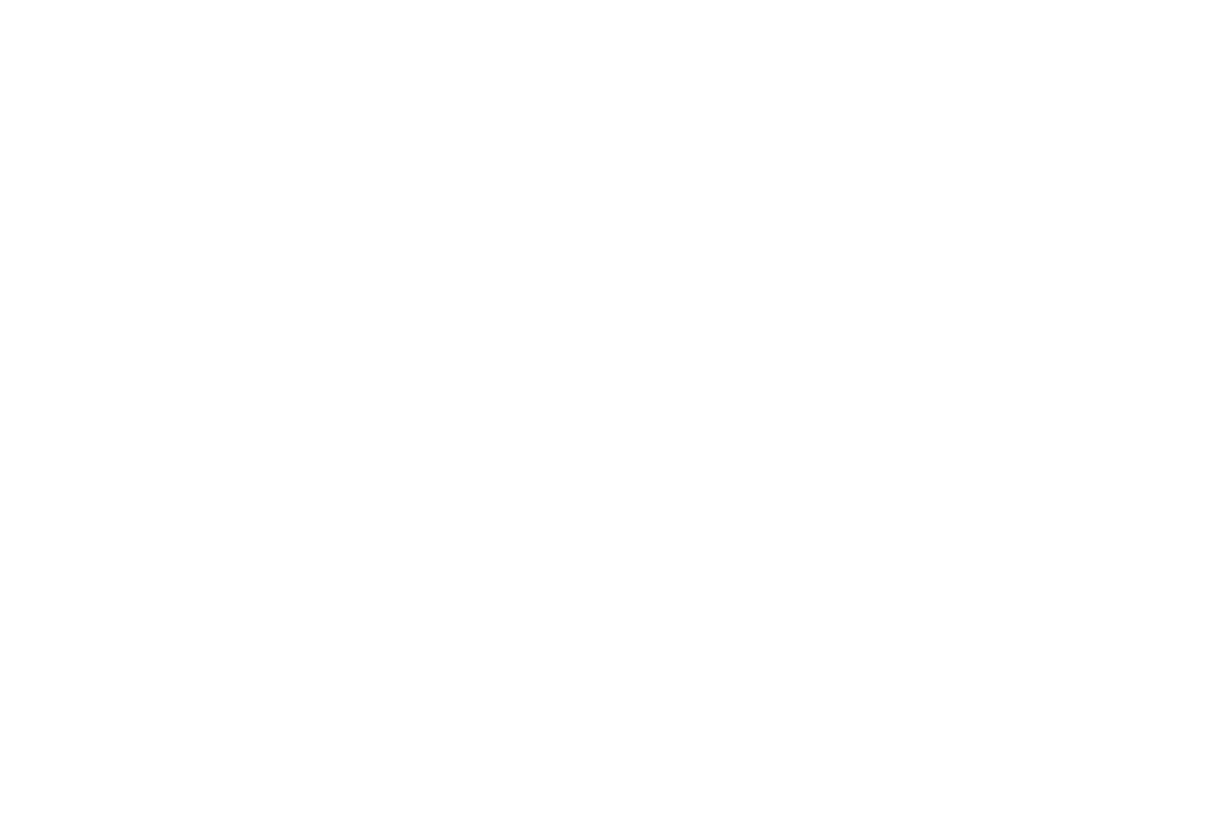 Ganador Corto Regional